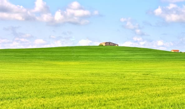 green grass field landscape under blue sky in spring