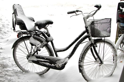 Winter in Birkerød