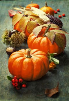 Autumn pumpkins 