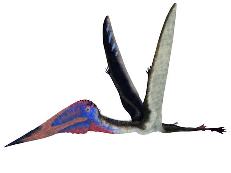 Zhejiangopterus Pterosaur