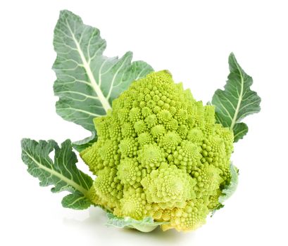 Rare broccoli. Romanesco broccoli cabbage, isolated on white bac