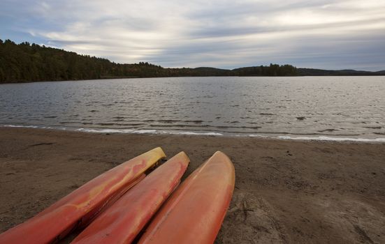 Algonquin Park Muskoka Ontario Red Canoe