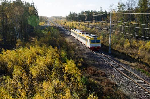 Train in fall colored landscape