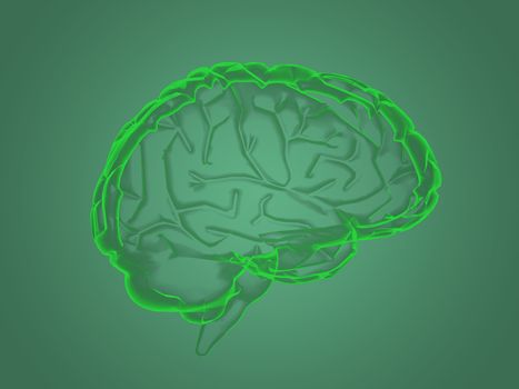 X-ray brain anatomy
