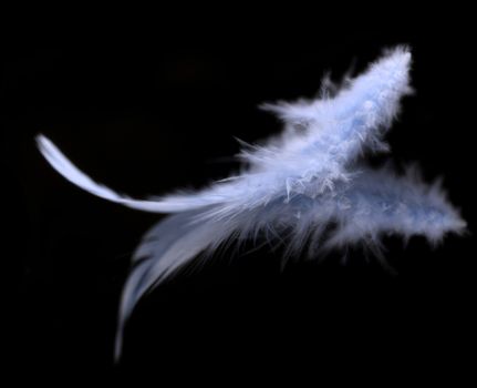 Blurred blue feather background
