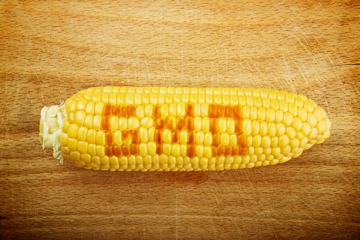 GMO Corn Maize Cob on wooden background