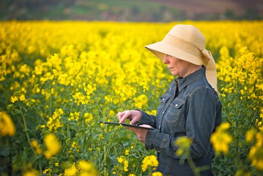 Female Farmer with Digital Tablet in Oilseed Rapeseed Cultivated