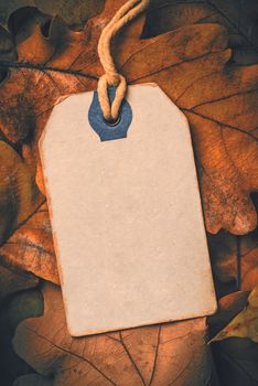 Price tag from with twine on dry autumn leaves background