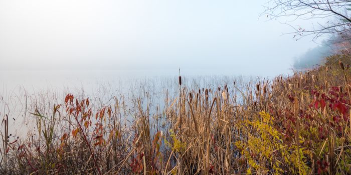 Stillness in early morning fog on a lake near Ottawa, Ontario