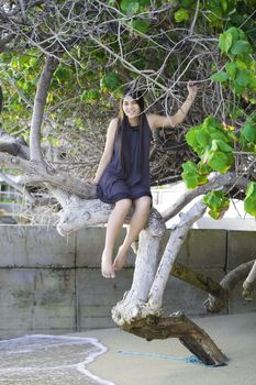 Biracial teen girl sitting on tree branch on beach 