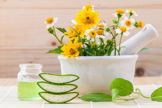 Alternative health care fresh herbal Aloe vera , oil and wild fl