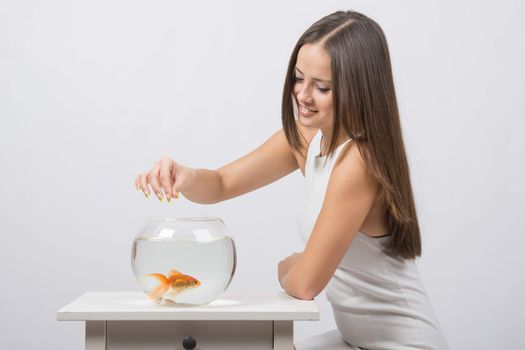 The girl feeds a goldfish in an aquarium