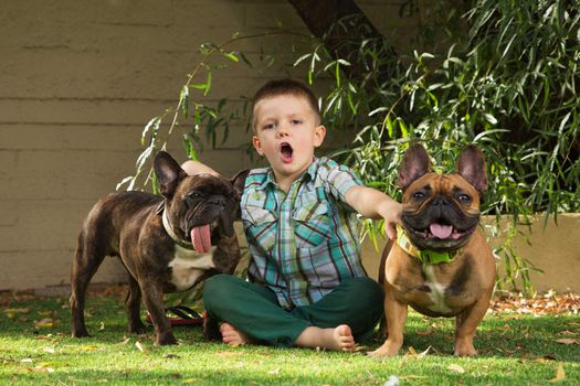 Child howling with pair of bulldogs outdoors
