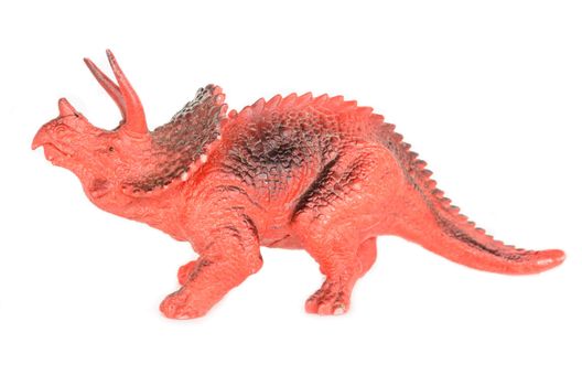 Triceratops dinosaurs toy.