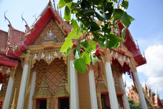 Bodhi Tree and Thai temple