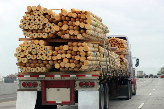 Truck transporting wood