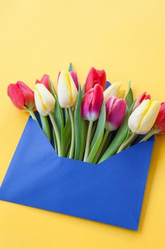 Colorful flowers in envelope