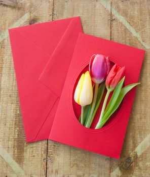 Colorful flowers in envelope
