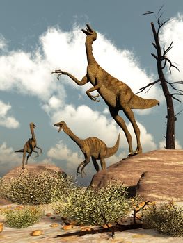 Gallimimus dinosaurs - 3D render