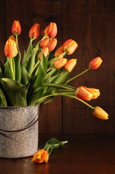 Yellow and orange tulips in old bucket