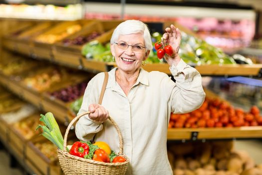 Senior woman holding basket and small tomatoes