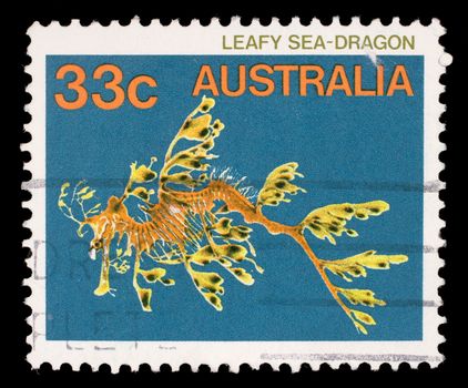 Stamp printed in the Australia shows Leafy Seadragon, Phycodurus Eques, Marine Fish, circa 1985