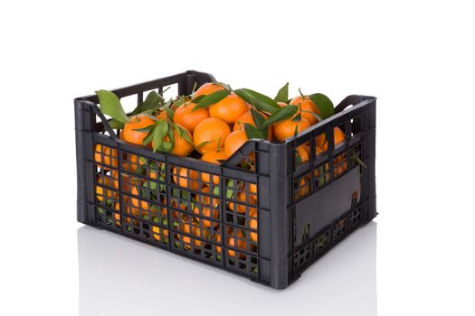 Fresh ripe mandarines in crate. Organic fresh mandarines, healthy fruit eating. 