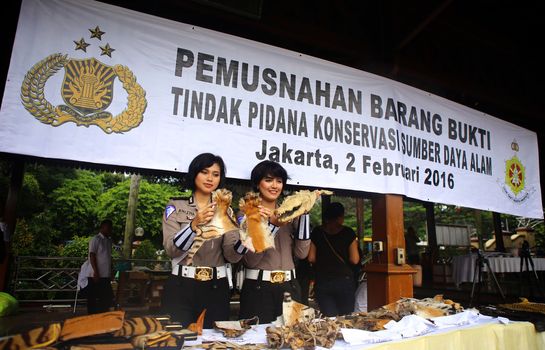 INDONESIA - JAKARTA - ILLEGAL TRADE