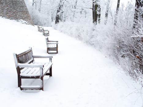Snow-covered path in park with benches and bushes