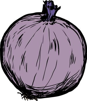 Hand drawn single whole raw red onion cartoon over isolated background