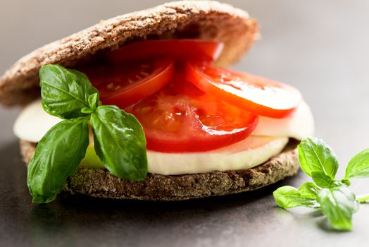 Sandwich with mozzarella tomatoes and rye bread
