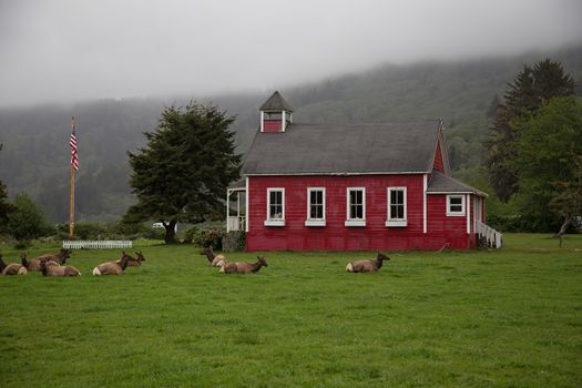 Elk Schoolhouse