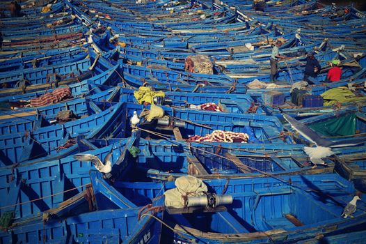 nice blue boat in old port in Essaouira