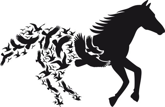 Horse with flying birds, vector