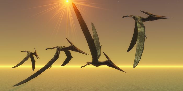 Pteranodon Reptile Flight