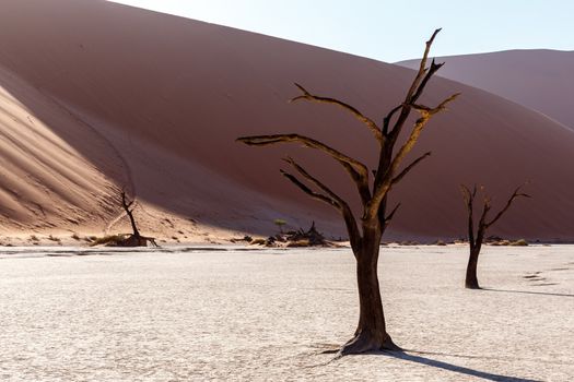 Hidden Vlei in Namib desert 
