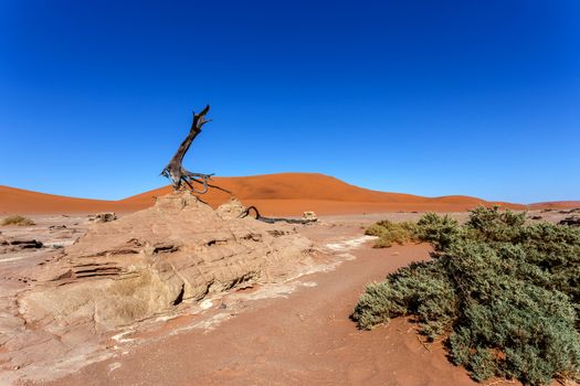 Hidden Vlei in Namib desert 