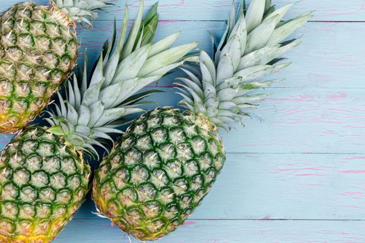 Three fresh juicy tropical pineapples with their green leaves laid out side by side on a blue table with copy space viewed from above