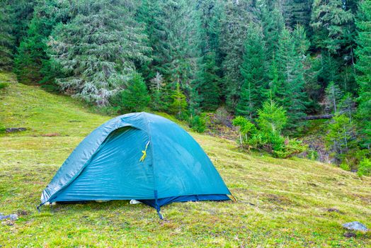Blue camping tent in a green forest