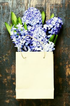 Spring hyacinth