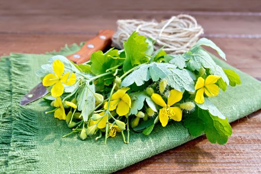 Celandine with knife and twine on board