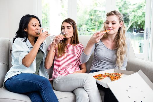 Female friends having snacks and drinks at home