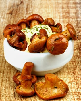 White Bowl with Delicious Roasted Chanterelles with Cheese Sauce and Greens closeup on Wooden background
