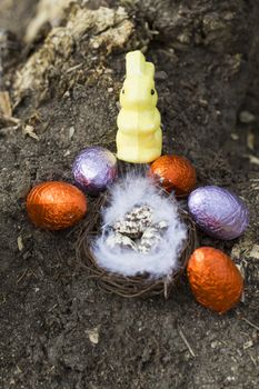 Happy Easter nest eggs