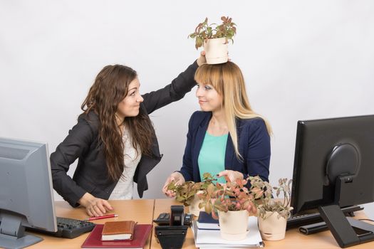  Frustrated office employee puts on a head-grower colleagues with a flower pot