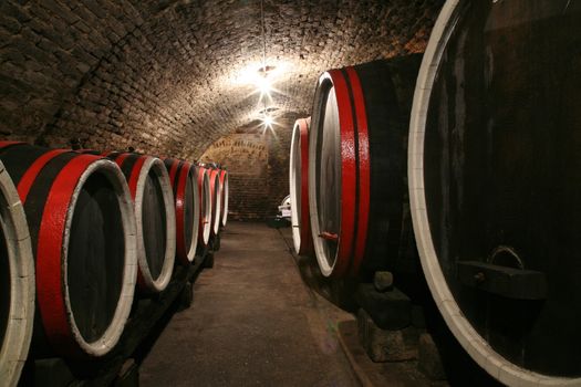 An old wine cellar with barrels