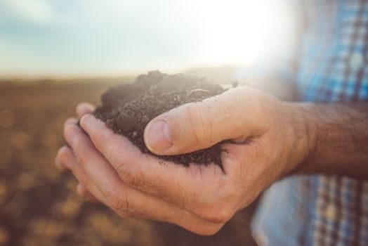 Farmer holding pile of arable soil, close up