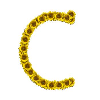 Isolated sunflower alphabet C
