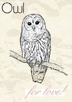 Poster with owl. Vintage style. 