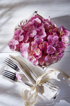 Hydrangeas for the ornament of the table 